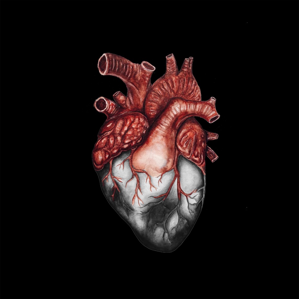 Luvorh8 (Explicit)