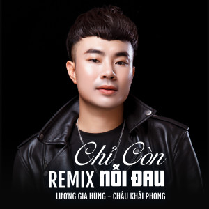 Luong Gia Hung的專輯Chỉ Còn Nỗi Đau (Remix)