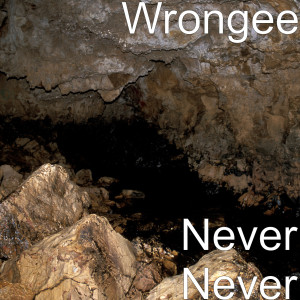 Listen to Never Never song with lyrics from Wrongee