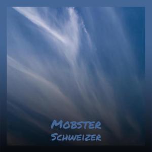 Various Artists的專輯Mobster Schweizer