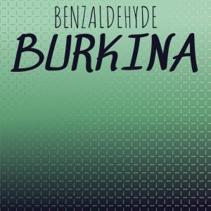 Listen to Exuma Rock song with lyrics from Stann Keny