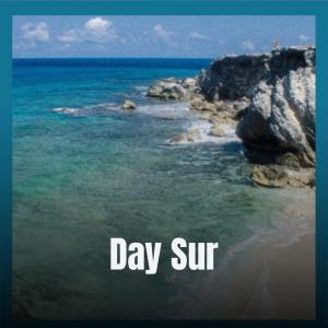Listen to Day Sur song with lyrics from Roald Olle