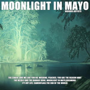 Listen to Peaches song with lyrics from bev benfell