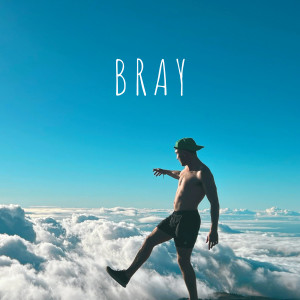 Album Livin the Dream oleh Bray