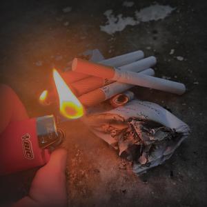 Jost的專輯summer_flavour.mp3 (feat. Anci)