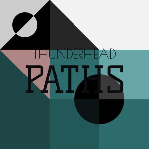 ดาวน์โหลดและฟังเพลง Thunderhead Paths พร้อมเนื้อเพลงจาก Maie Aera