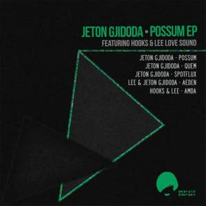 ดาวน์โหลดและฟังเพลง Aeden (Feat. Lee) พร้อมเนื้อเพลงจาก Jeton Gjidoda
