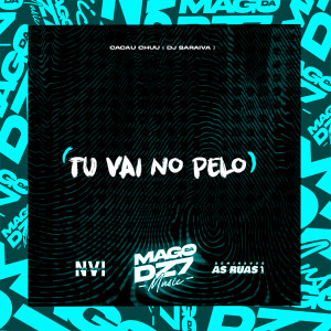 收聽DJ SARAIVA的Tu Vai no Pelo (Explicit)歌詞歌曲
