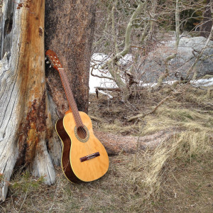 收聽Peter Pupping的The Field歌詞歌曲