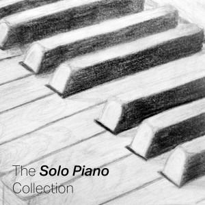 收聽Valentina Lisitsa的3. Allegro scherzando歌詞歌曲