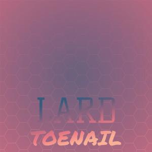 Album Lard Toenail from Various