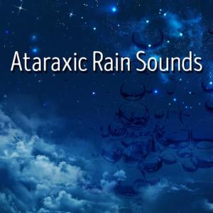 ดาวน์โหลดและฟังเพลง Rain on Glass พร้อมเนื้อเพลงจาก Rain Sounds