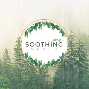 收聽Soothing Music的Stress Relief歌詞歌曲