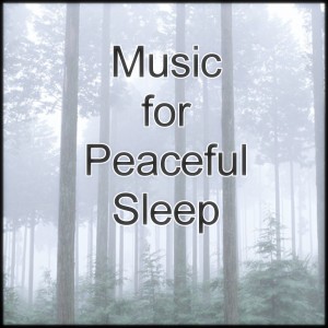 收聽Sleep Music Laboratory的Music for Peaceful Sleep "Cave" (其他)歌詞歌曲