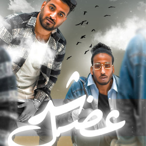 Album شد عضل from مصطفي حتحوت