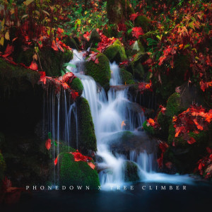 Album flow from Phonedown