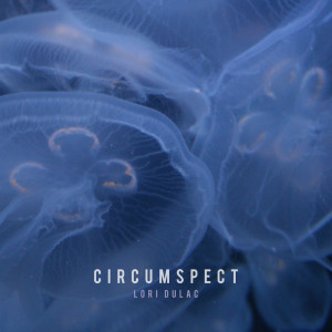 Listen to circumspect song with lyrics from Lori Dulac