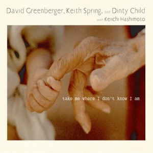 David Greenberger的專輯Take Me Where I Don't Know I Am