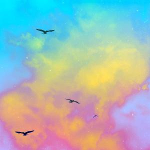 ดาวน์โหลดและฟังเพลง Buzzards or Kites พร้อมเนื้อเพลงจาก powerslacker