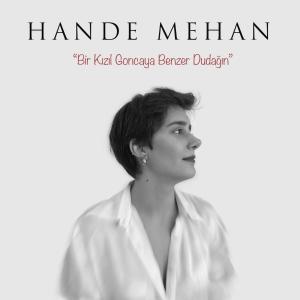 Listen to Bir Kızıl Goncaya Benzer Dudağın song with lyrics from Hande Mehan