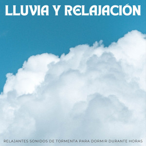 收聽Estado de ánimo de lluvia的Agua De Lluvia歌詞歌曲