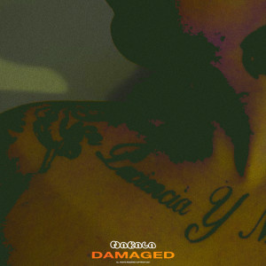 Nakala的專輯Damaged