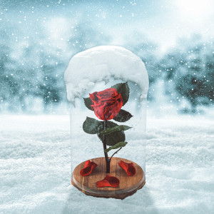 ดาวน์โหลดและฟังเพลง For You พร้อมเนื้อเพลงจาก Matteo Palumbo