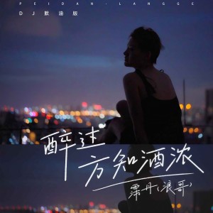 收聽浪哥的醉過方知酒濃 (DJ默涵版)歌詞歌曲