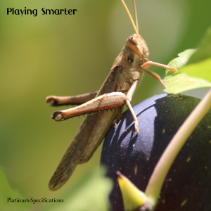 Dengarkan lagu Under The Skin nyanyian Platinum Specifications dengan lirik