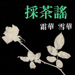 Listen to 玫瑰玫瑰我愛你 song with lyrics from 霜华