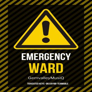 Dengarkan Emergency Ward (feat. Toxicated Keys, Dr.Kay98 & TeamAble) lagu dari GemValleyMusiQ dengan lirik