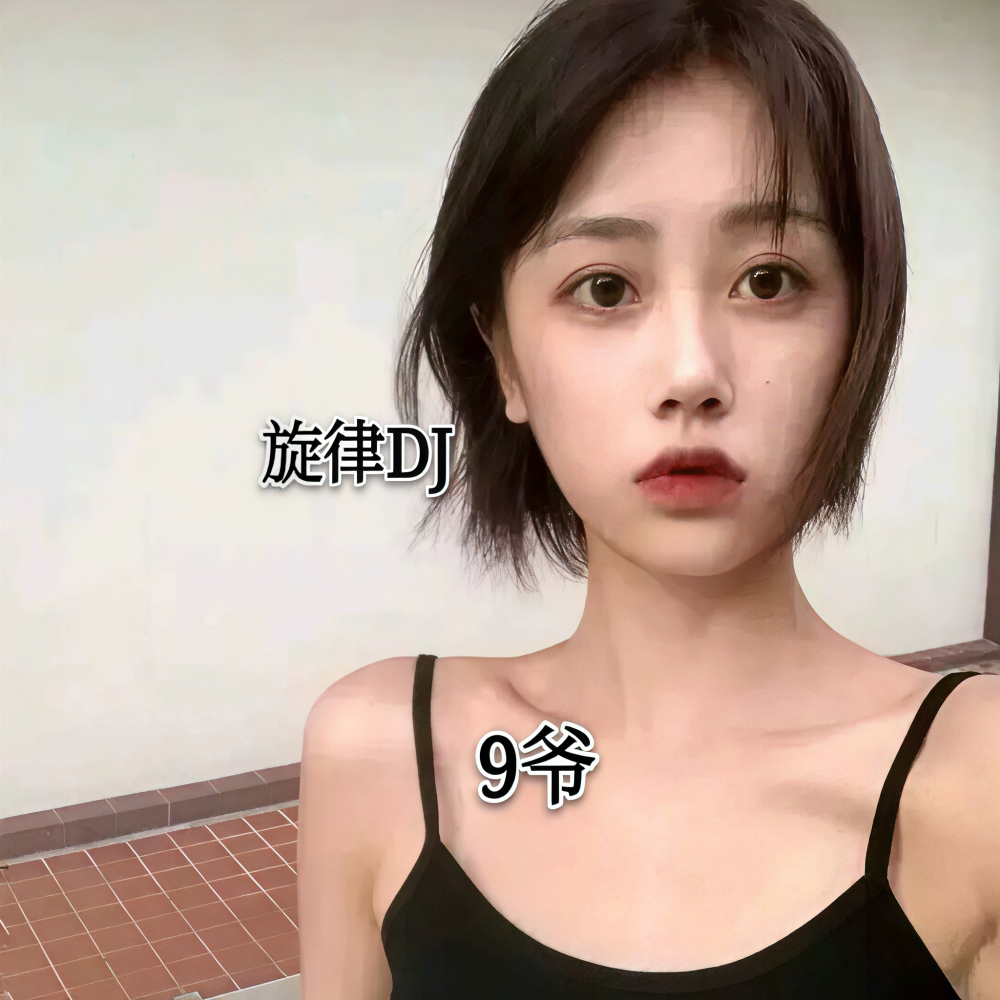 我不后悔遇见你 (DJ版)