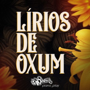 Listen to Lírios de Oxum (Piano Play) song with lyrics from João Martins