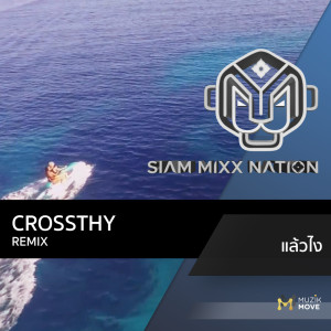 ดาวน์โหลดและฟังเพลง แล้วไง (Ver.Tropical House) พร้อมเนื้อเพลงจาก Crossthy Remix