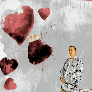 Album Pink Camo (Explicit) from 
