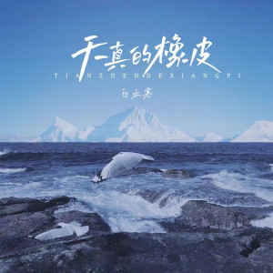 收听白水寒的天真的橡皮 (烟嗓版)歌词歌曲