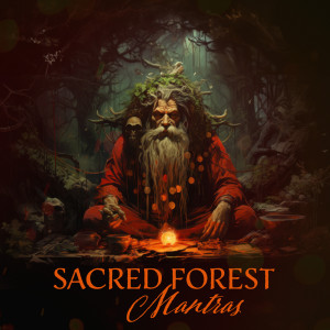 Album Sacred Forest Mantras (Shamanic Throat Singing, Spiritual Balancing) from Shamanic Meditation Tribe