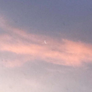 收聽Squire的i wanna be yours歌詞歌曲