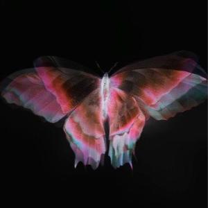 ดาวน์โหลดและฟังเพลง Sorry Not Sorry (Explicit) พร้อมเนื้อเพลงจาก Astros