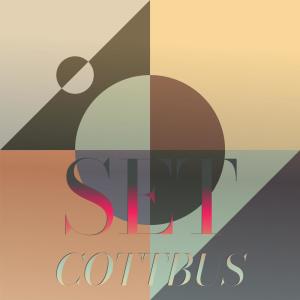 Listen to Occulted Perseids song with lyrics from Fredre Chaw