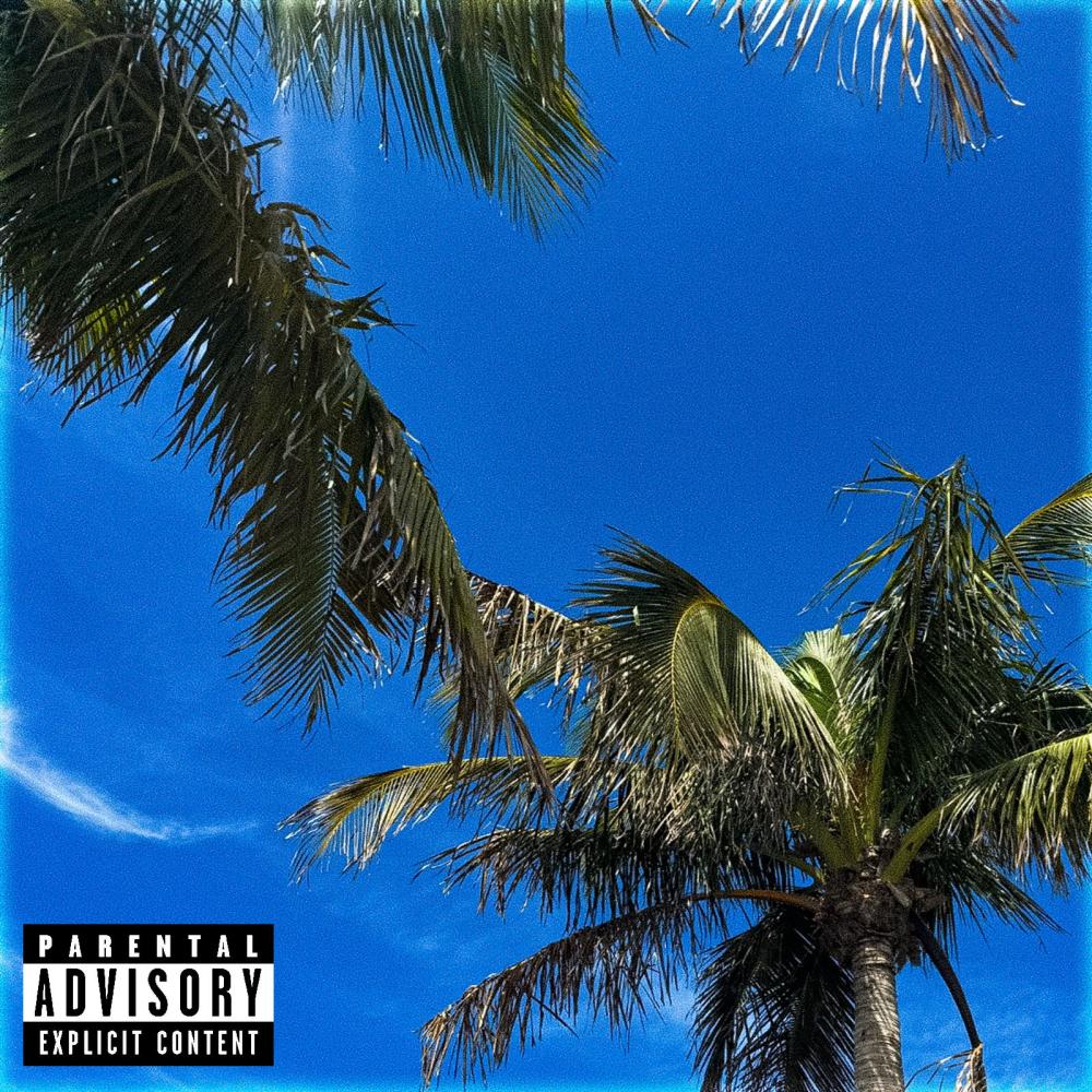 ALREADY LEFT (feat. JOEY THE KID) (Explicit)