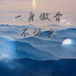 อัลบัม 一身傲骨不低头（DJ何友版） ศิลปิน 刘阳阳