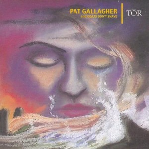 ดาวน์โหลดและฟังเพลง Super Hero พร้อมเนื้อเพลงจาก Pat Gallagher