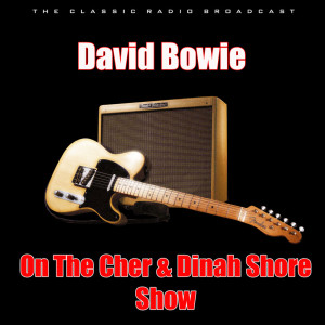 收聽David Bowie的Heroes (Live)歌詞歌曲
