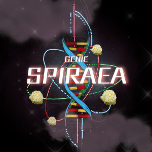 Dengarkan lagu Tell me why (feat. SAWAMURA) (Remix) nyanyian Genie dengan lirik