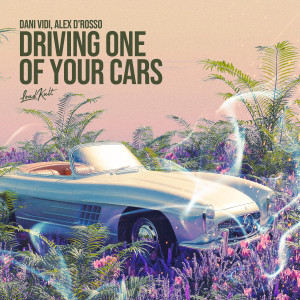 Dengarkan lagu Driving one of your cars nyanyian Dani Vidi dengan lirik