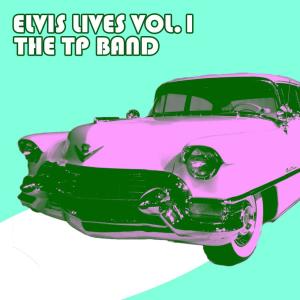 Listen to Jailhouse Rock song with lyrics from The TP Band