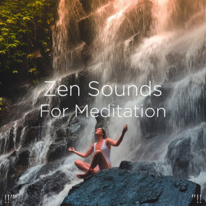 Listen to Sleep Meditation song with lyrics from Sleep Sounds of Nature