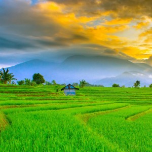 kalam senja的专辑Ya Rasulallah Abah Guru Sekumpul