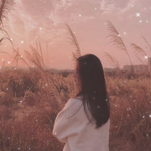 ดาวน์โหลดและฟังเพลง 没关系一个人 (DJ版) พร้อมเนื้อเพลงจาก 海南DJ茂